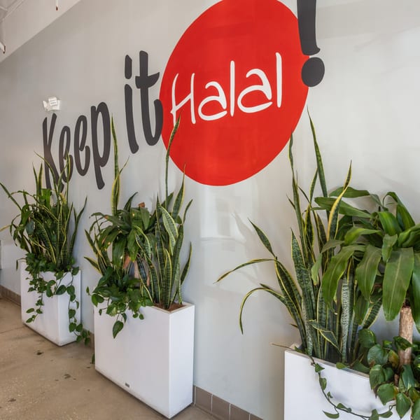 A white wall with "Keep it Halal" in black and white text, surrounded by potted plants.